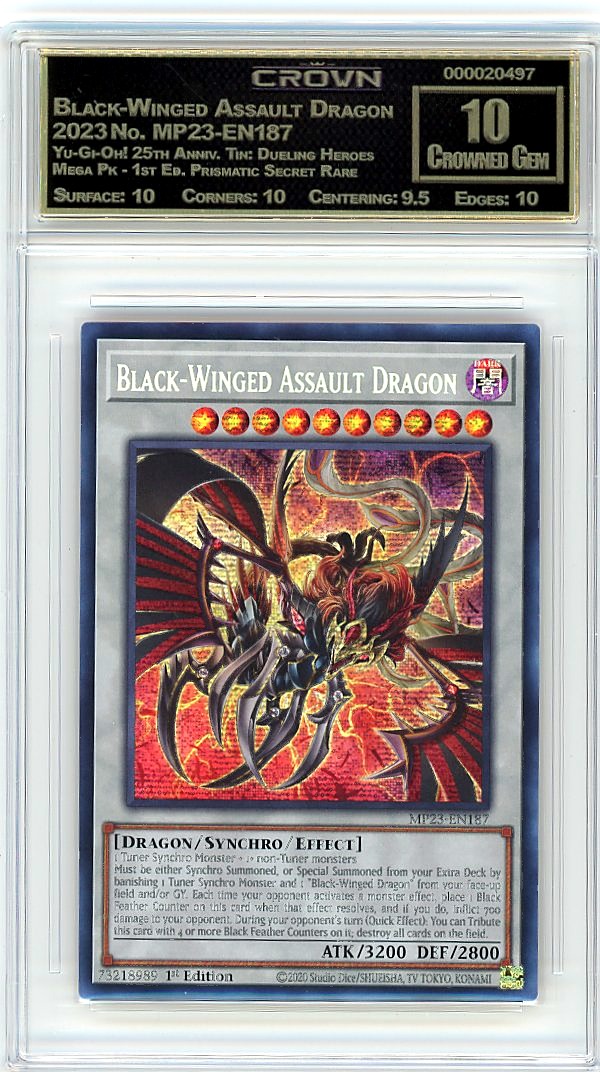 Black-Winged Assault Dragon