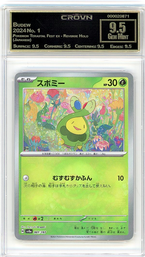 Budew