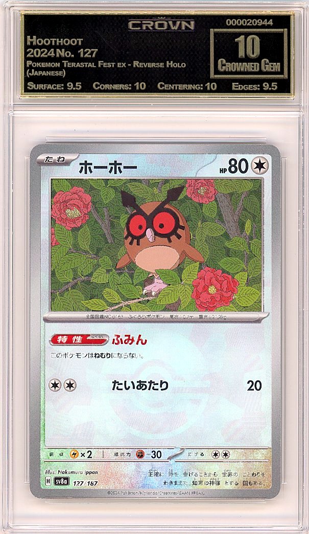 Hoothoot