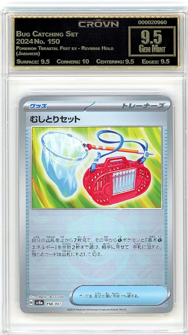 Bug Catching Set