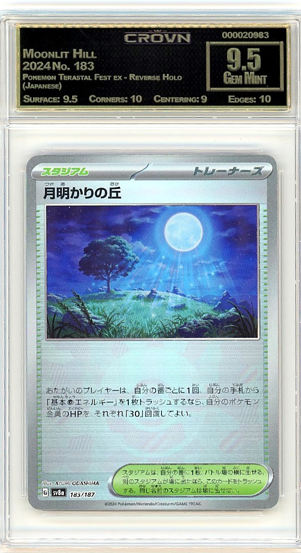 Moonlit Hill
