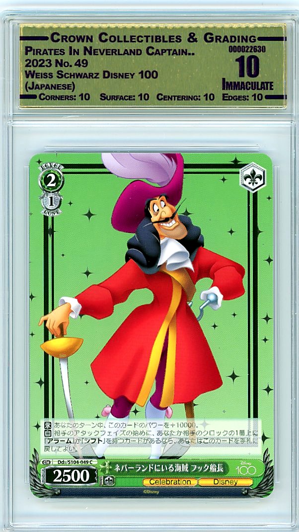 Pirates In Neverland Captain..