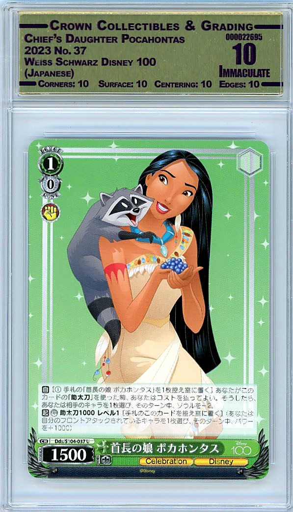 Chief's Daughter Pocahontas