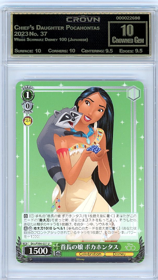 Chief's Daughter Pocahontas