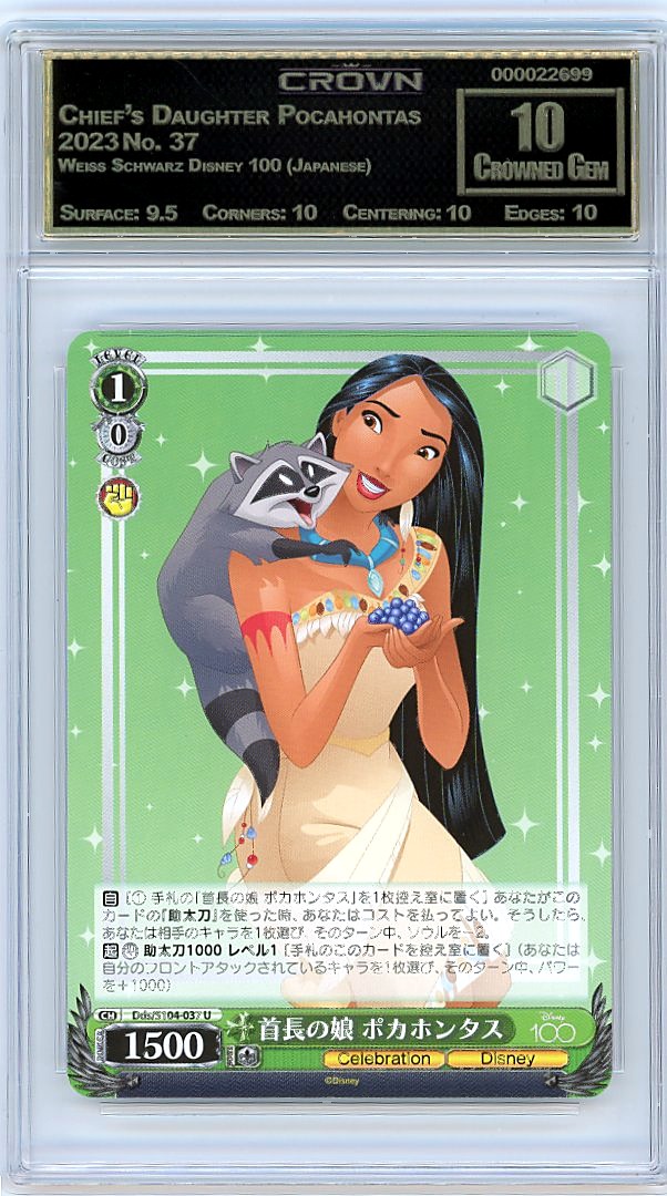 Chief's Daughter Pocahontas