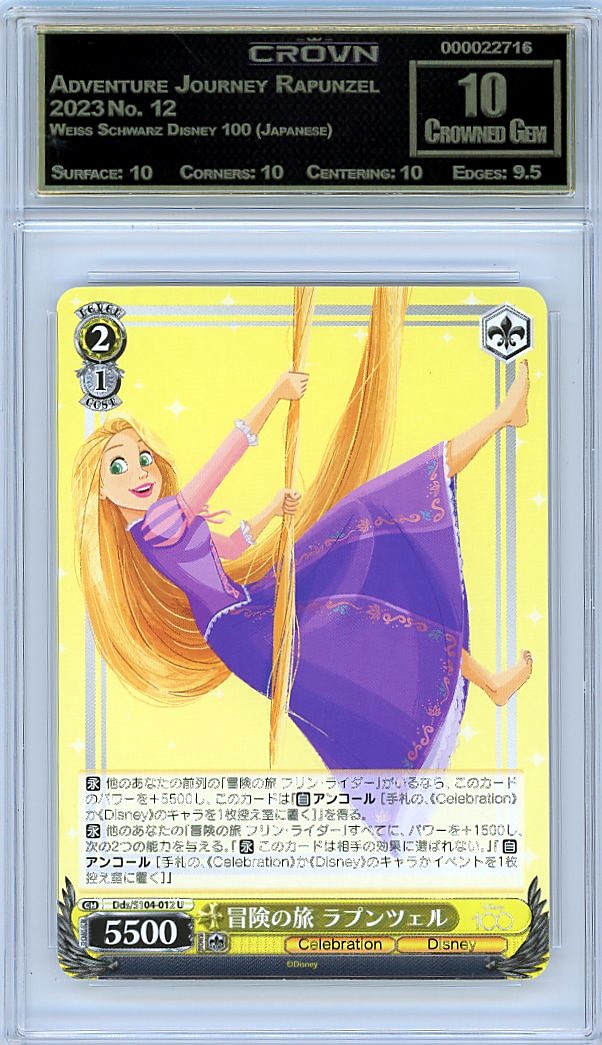 Adventure Journey Rapunzel