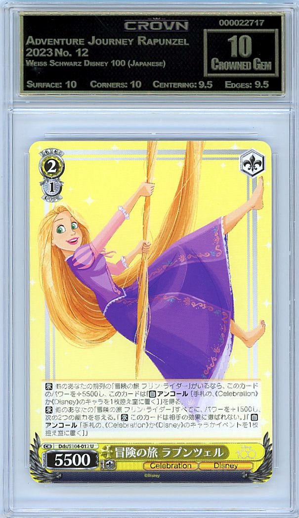 Adventure Journey Rapunzel
