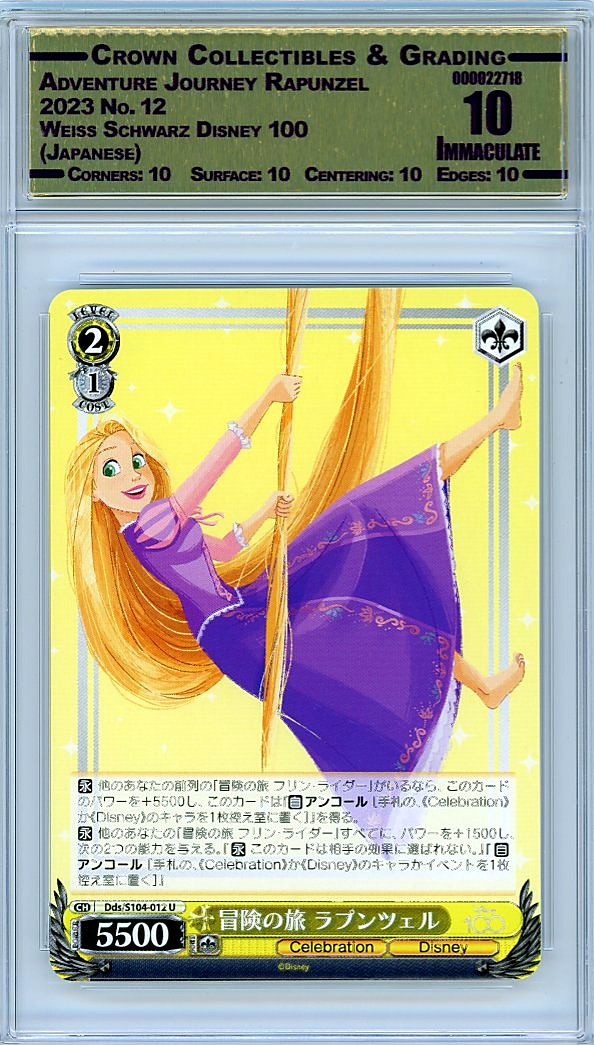 Adventure Journey Rapunzel