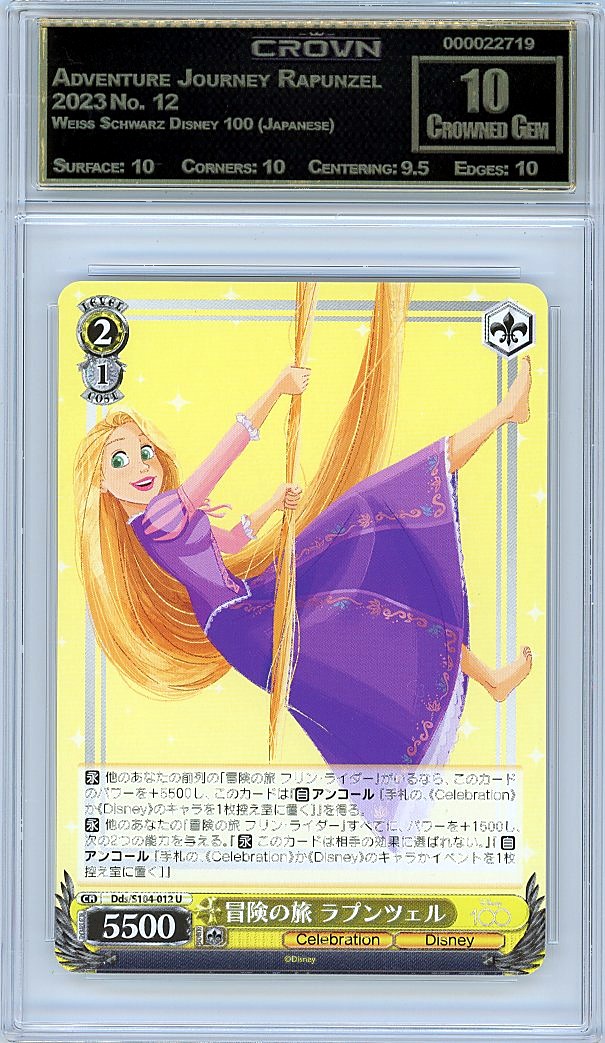 Adventure Journey Rapunzel