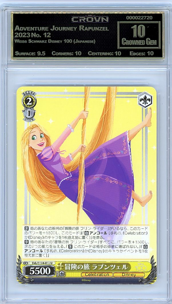 Adventure Journey Rapunzel