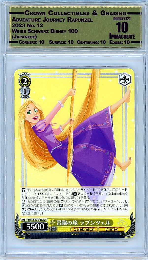Adventure Journey Rapunzel