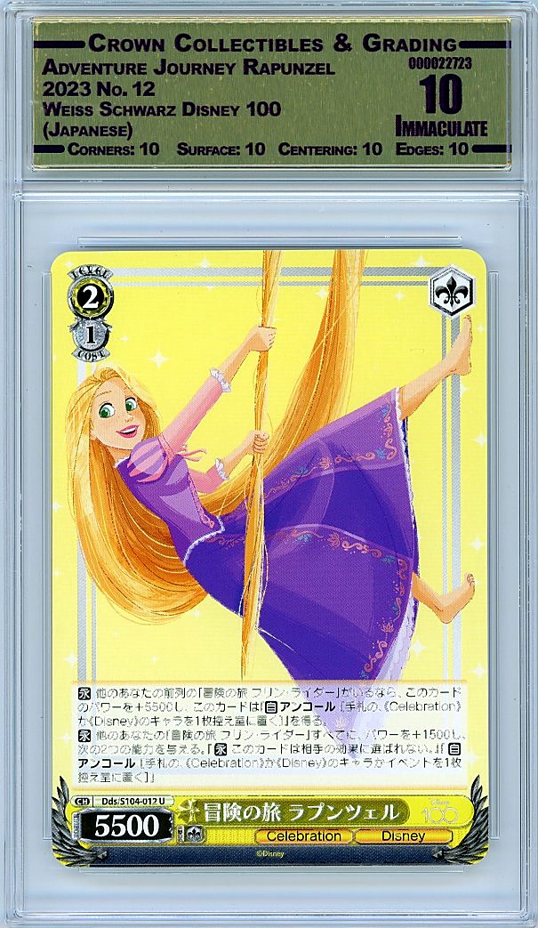 Adventure Journey Rapunzel