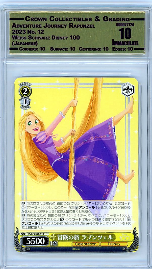 Adventure Journey Rapunzel