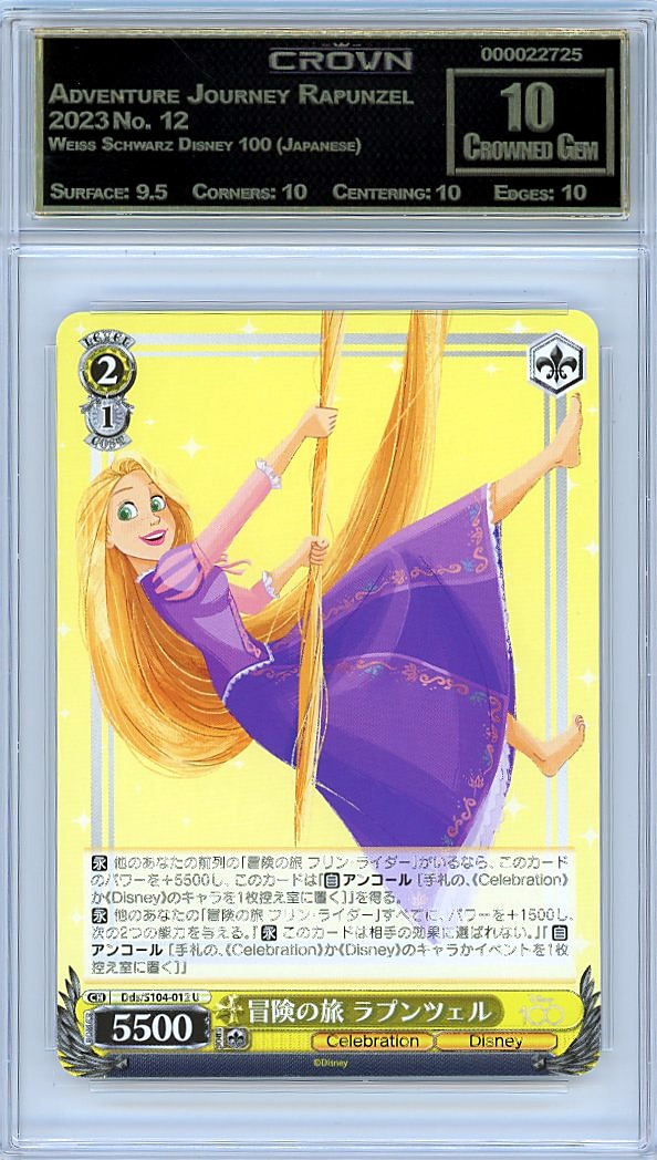 Adventure Journey Rapunzel