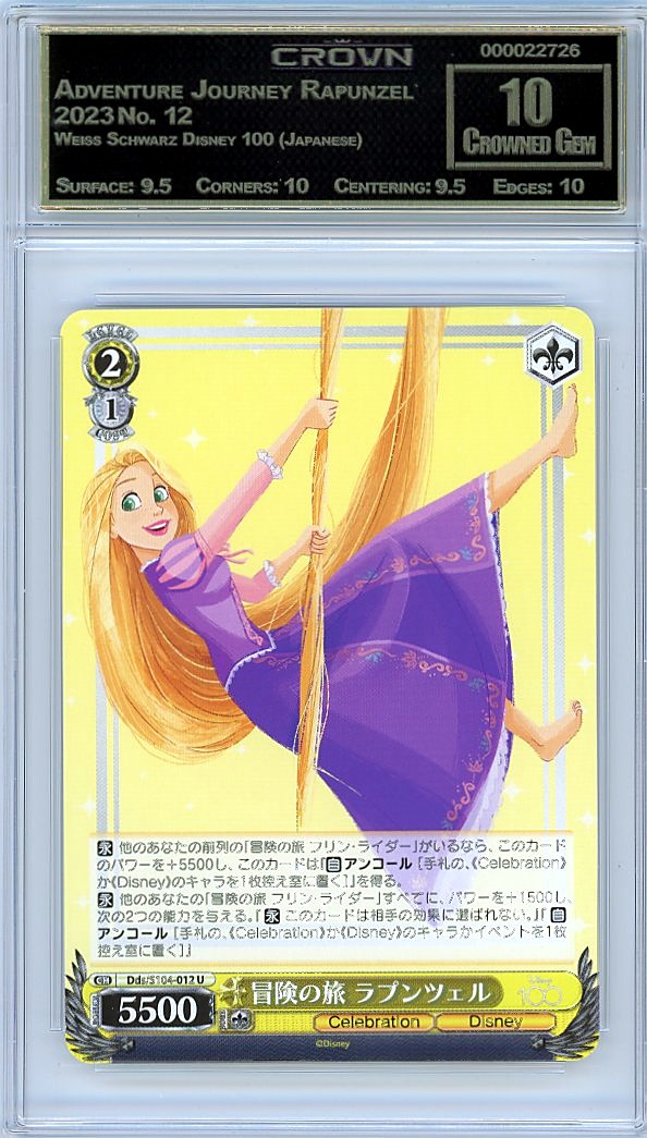Adventure Journey Rapunzel