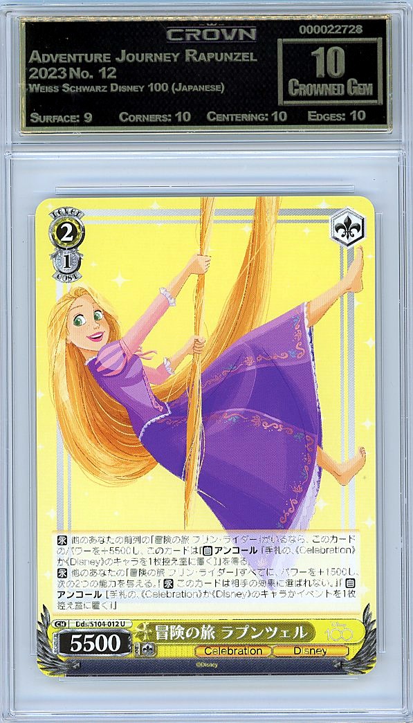 Adventure Journey Rapunzel
