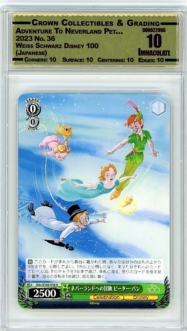 Adventure To Neverland Pet…