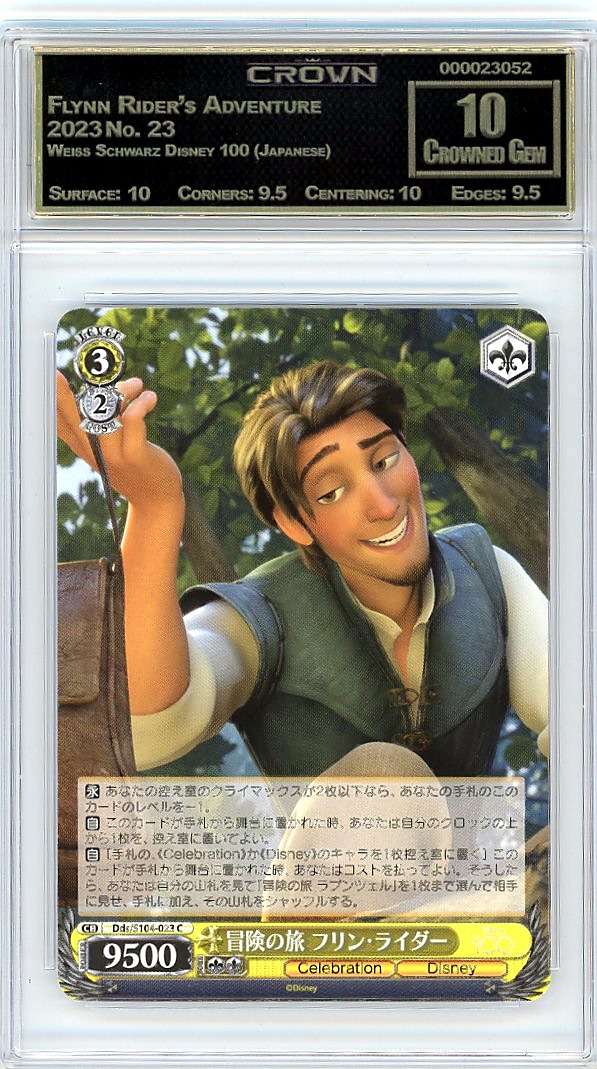 Flynn Rider's Adventure