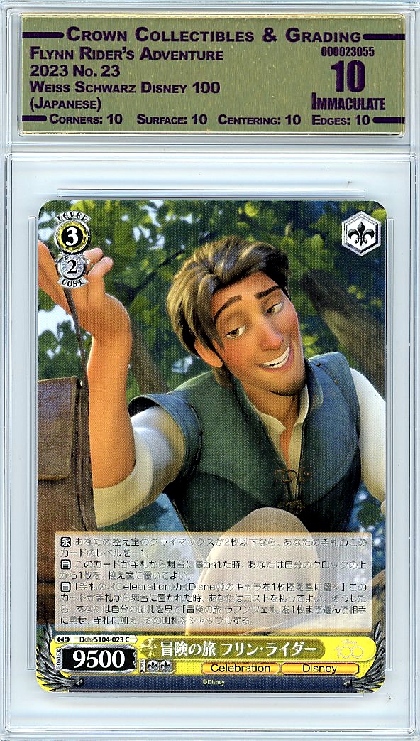 Flynn Rider's Adventure