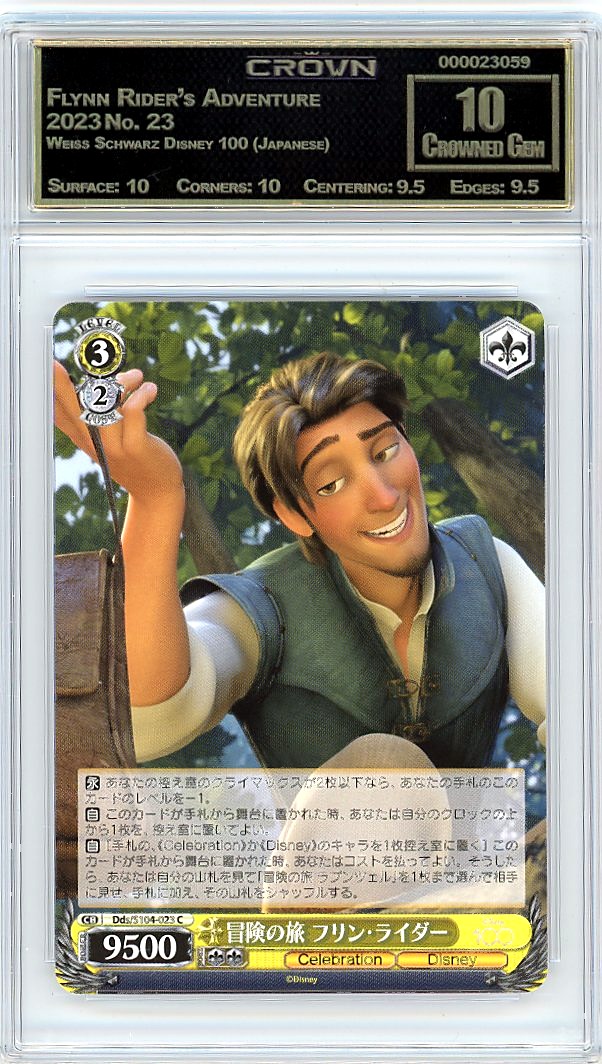 Flynn Rider's Adventure