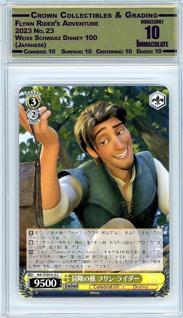 Flynn Rider's Adventure
