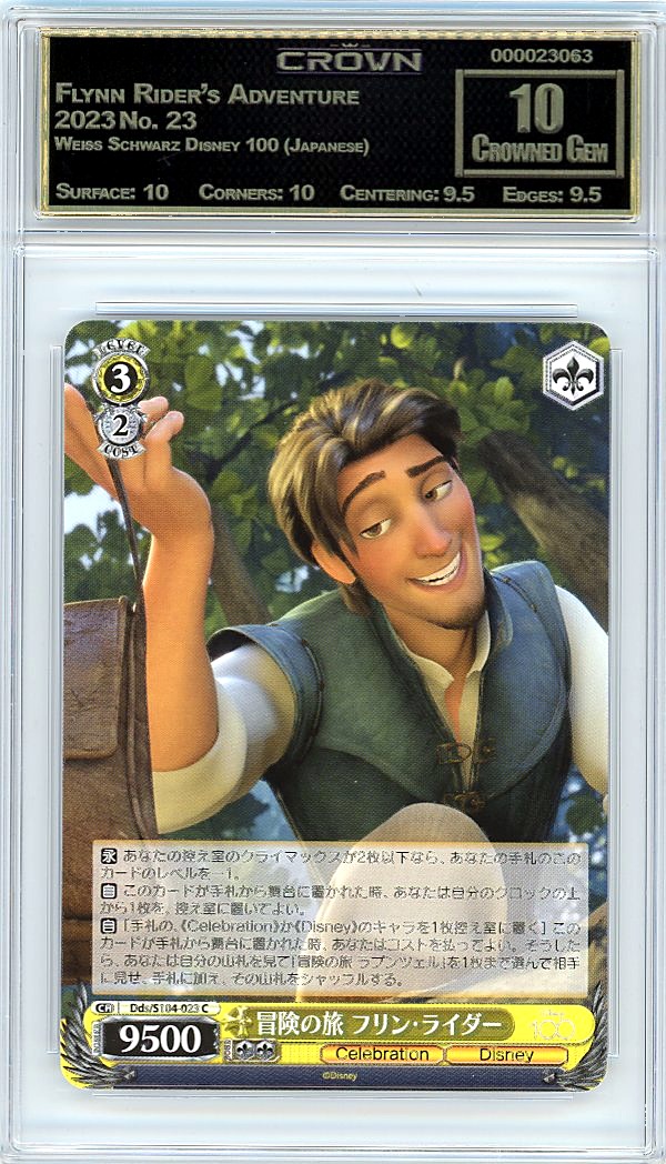 Flynn Rider's Adventure