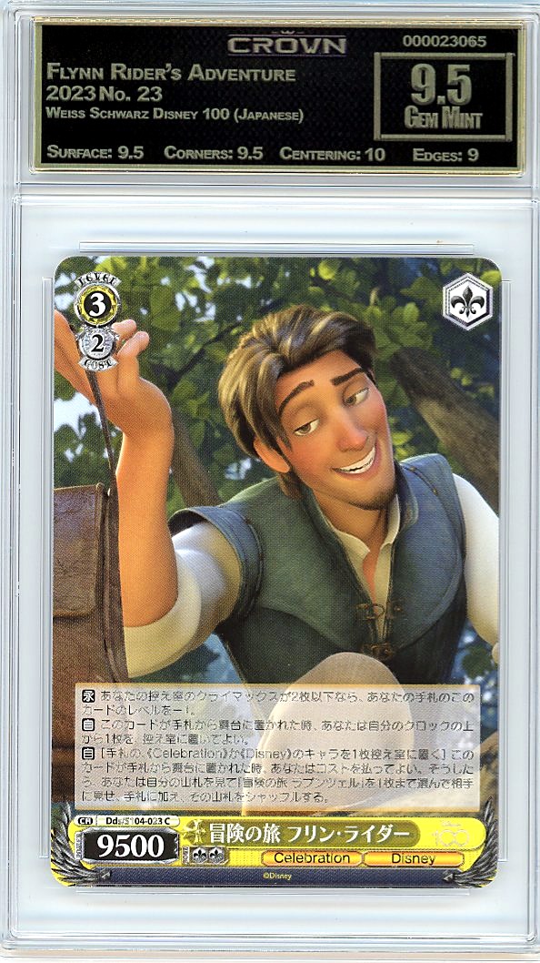 Flynn Rider's Adventure