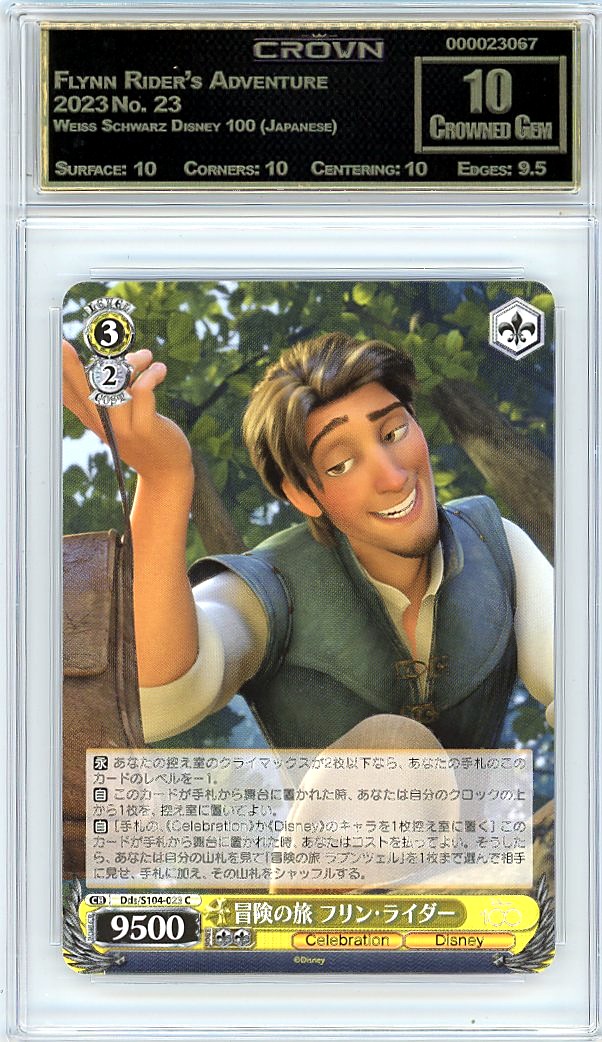Flynn Rider's Adventure