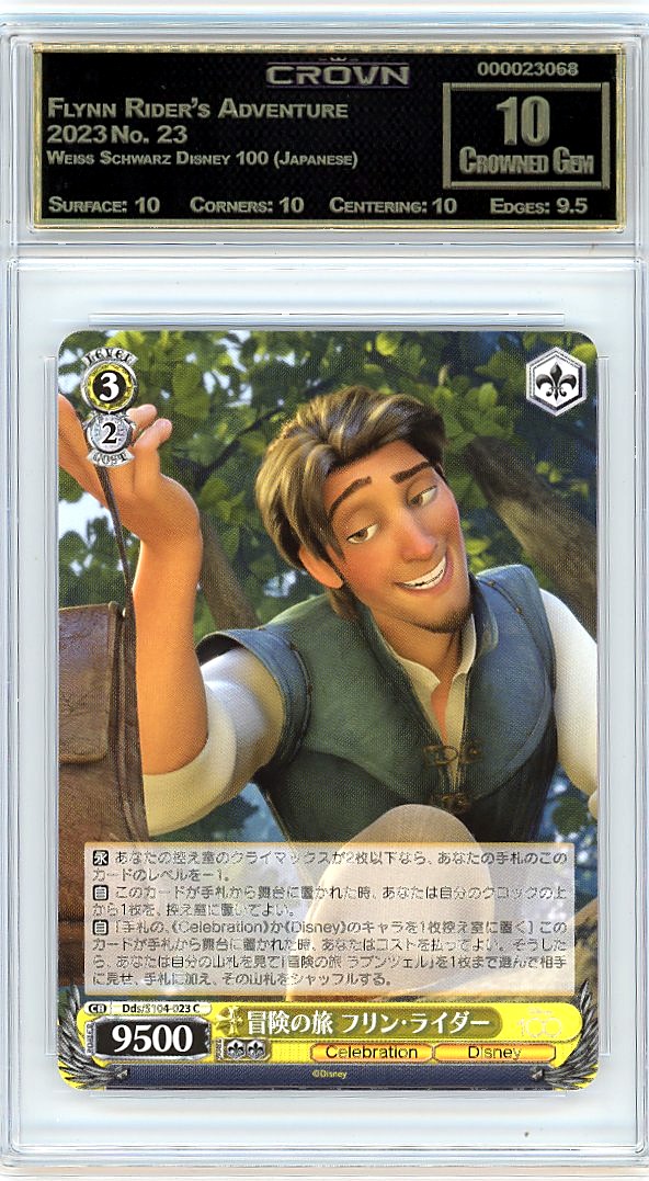 Flynn Rider's Adventure