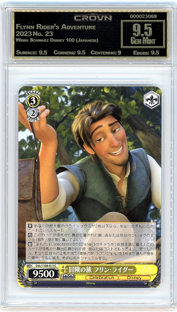 Flynn Rider's Adventure