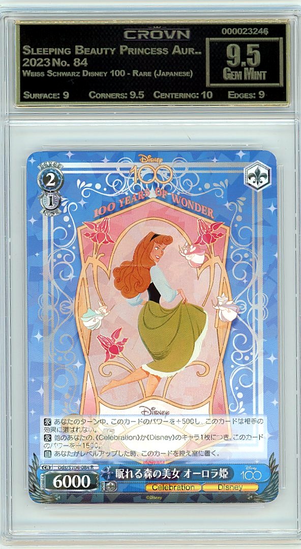 Sleeping Beauty Princess Aur..