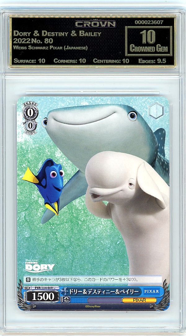 Dory & Destiny & Bailey