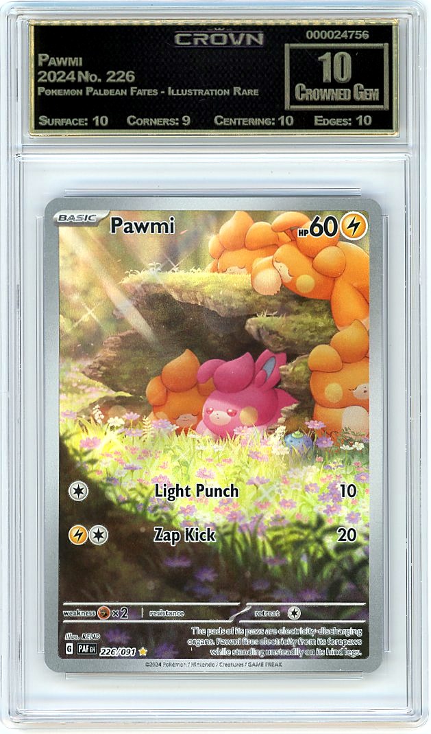 Pawmi