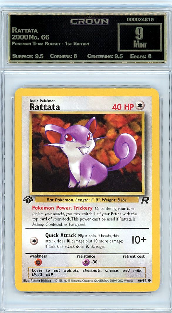 Rattata