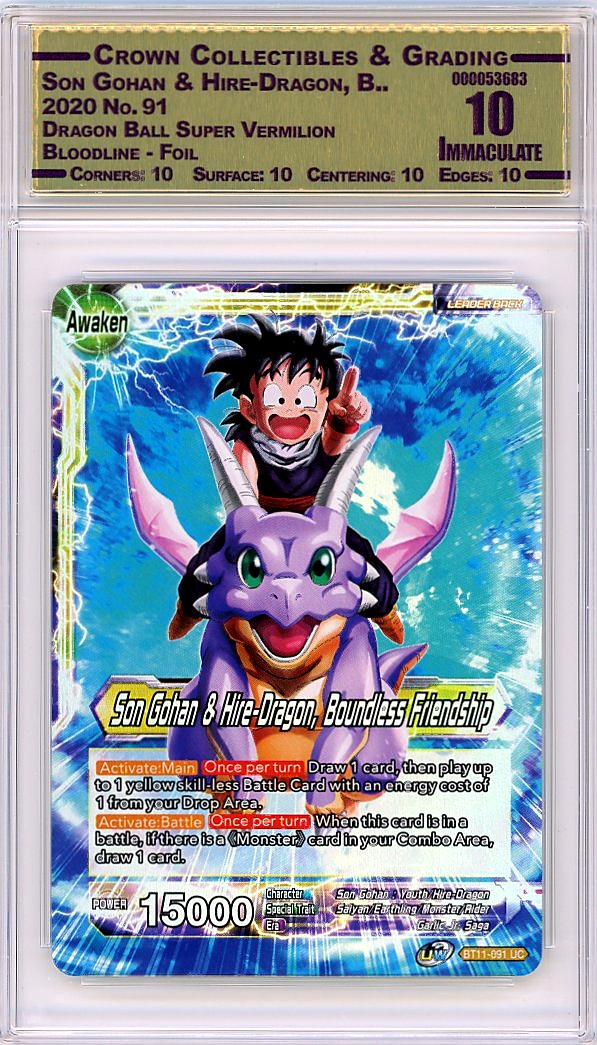 Son Gohan & Hire-Dragon, B..