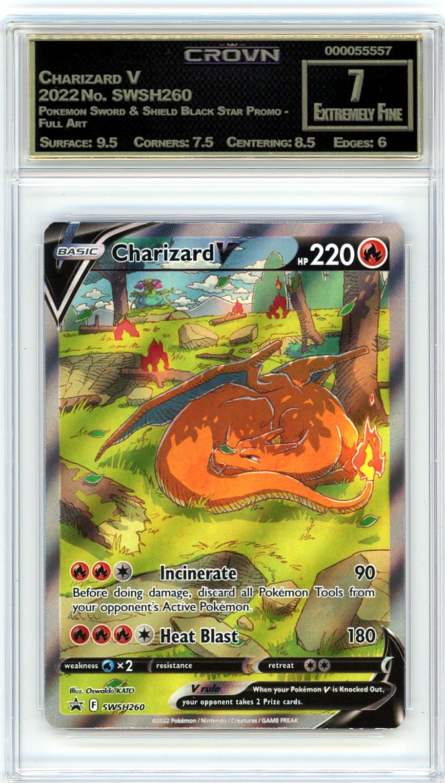 Charizard V