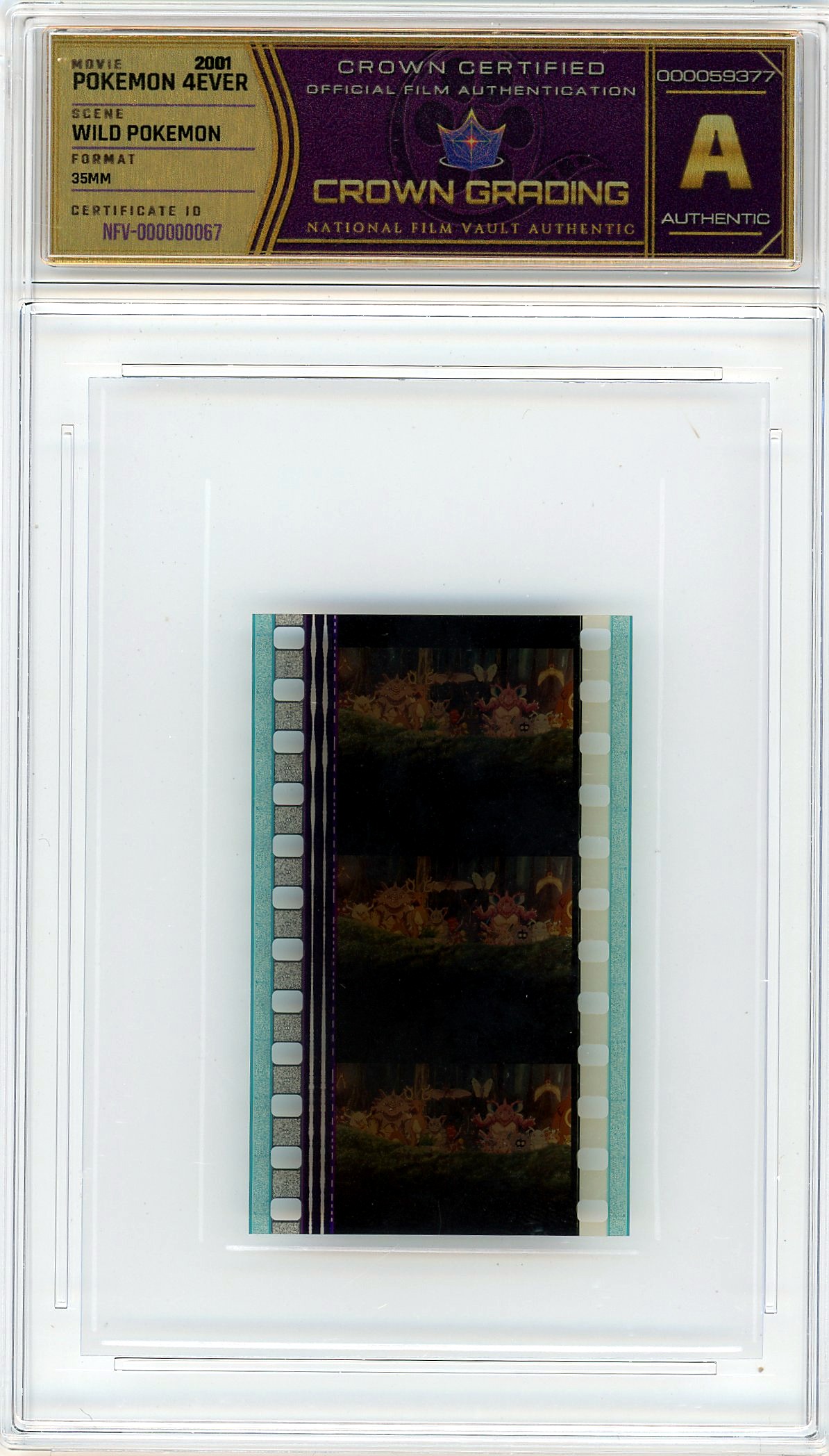 Film cell NFV-000000067