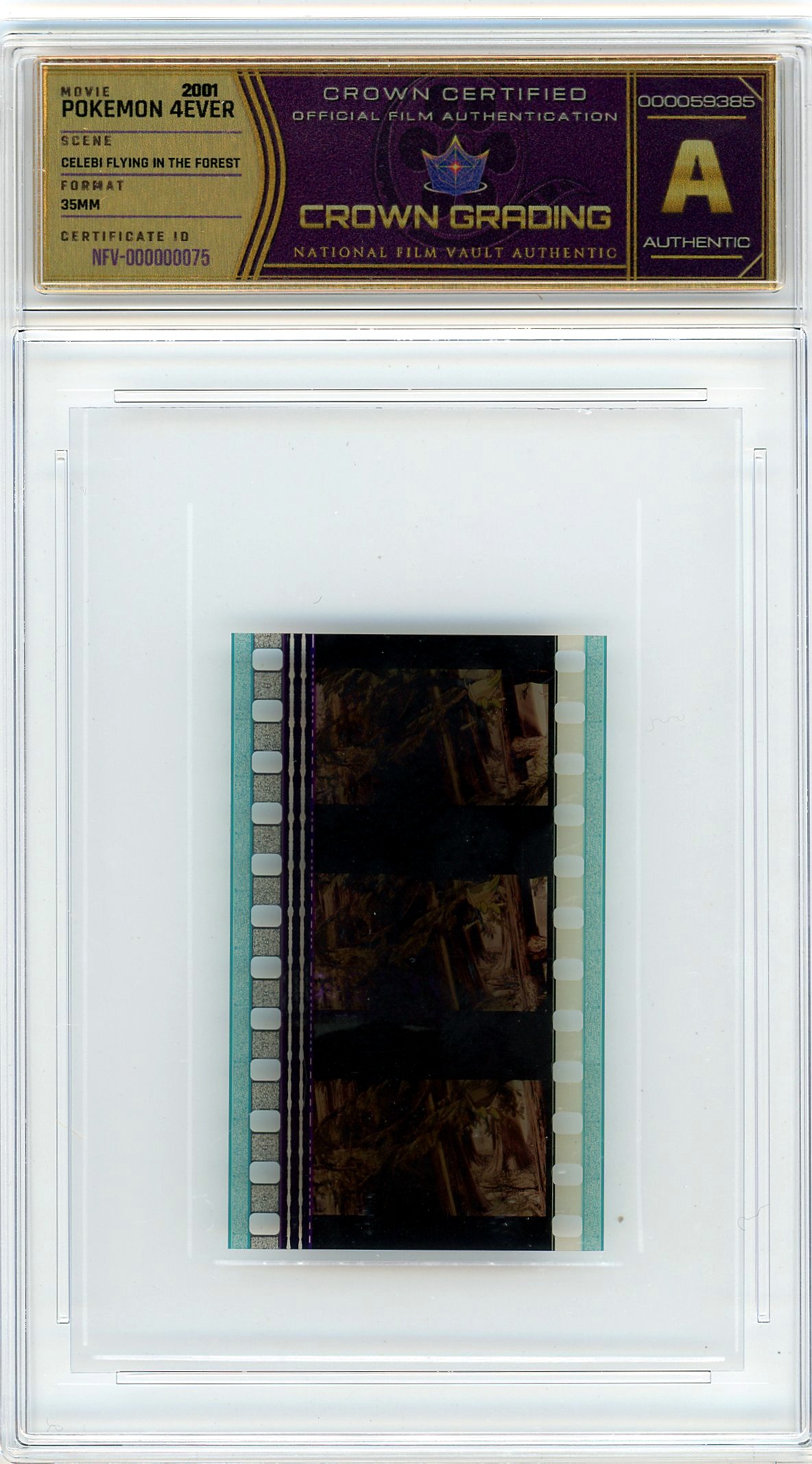 Film cell NFV-000000075