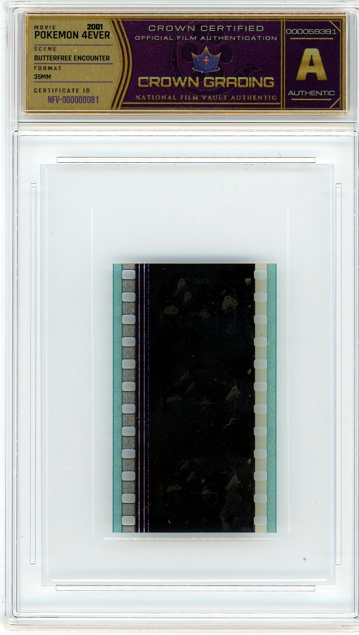 Film cell NFV-000000081