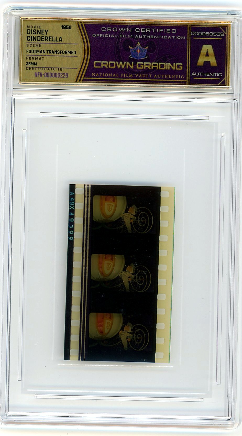Film cell NFV-000000229