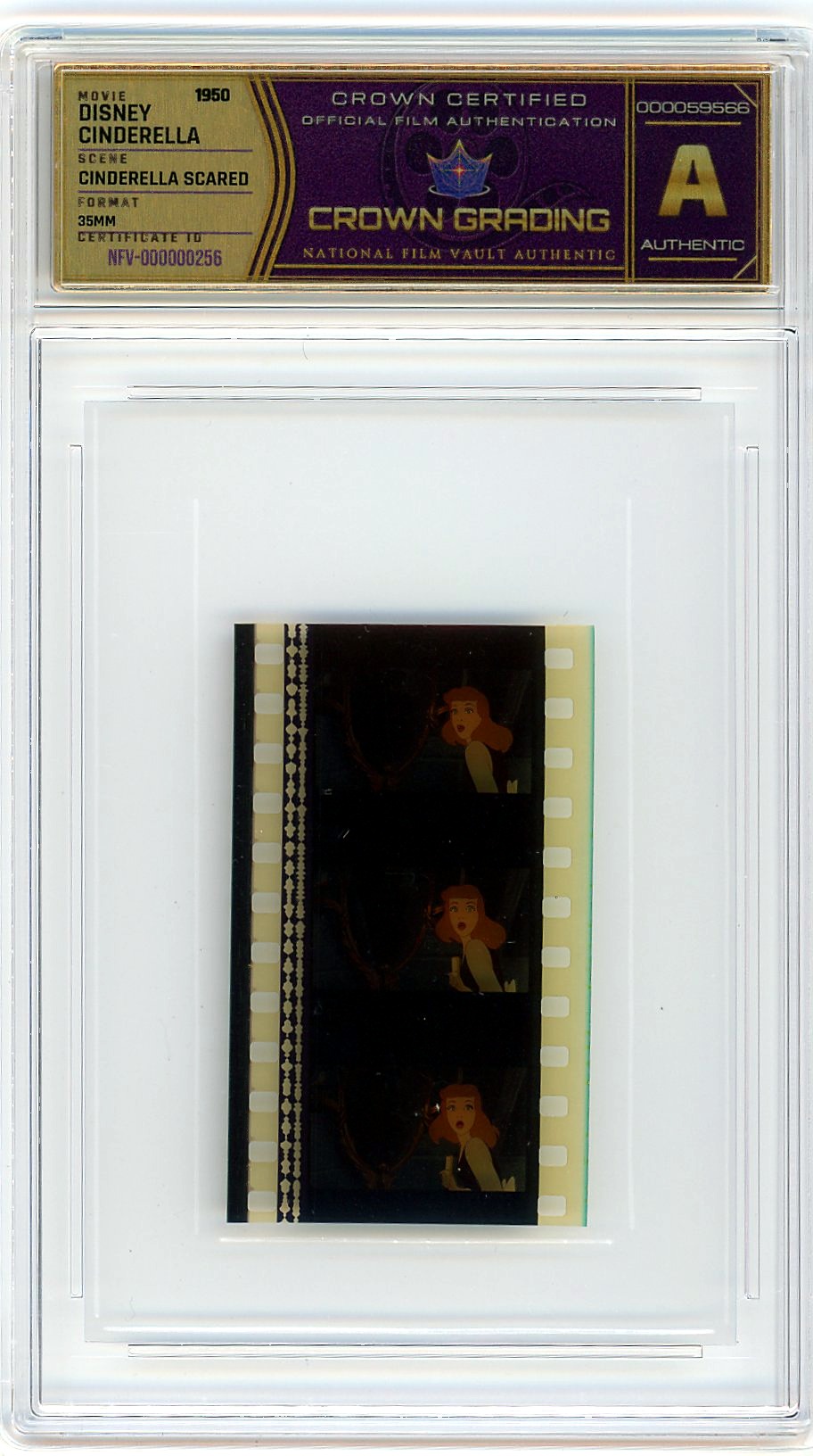 Film cell NFV-000000256