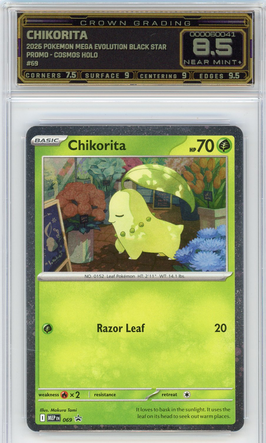 Chikorita