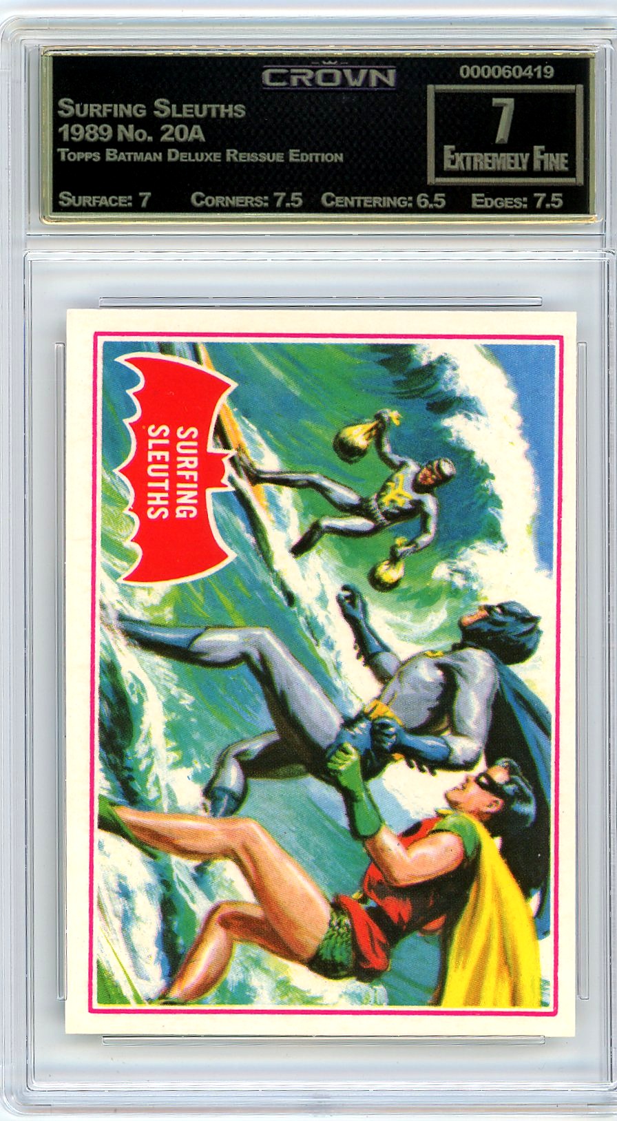 Surfing Sleuths