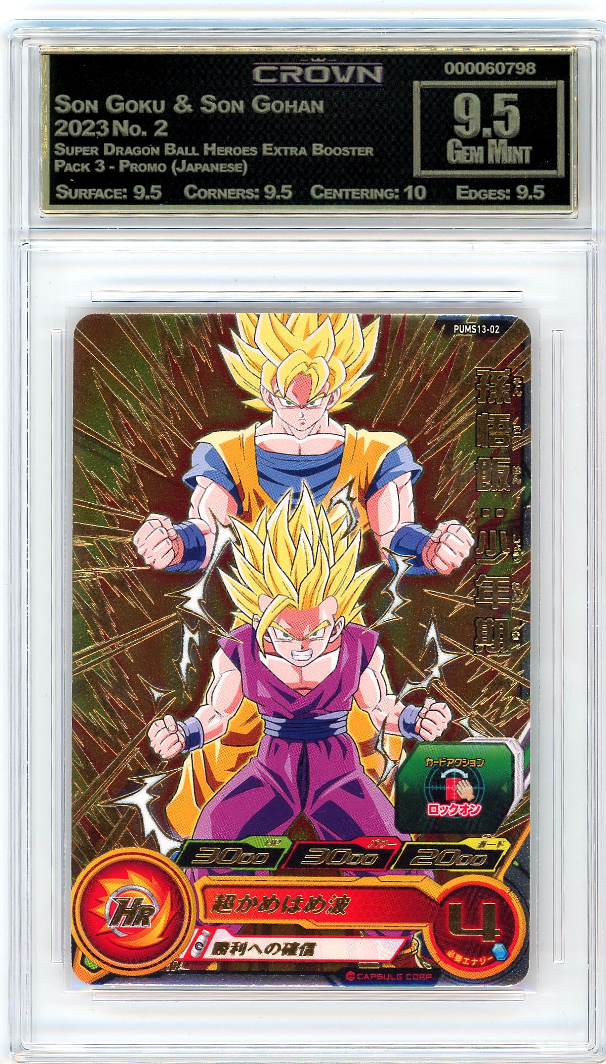 Son Goku & Son Gohan