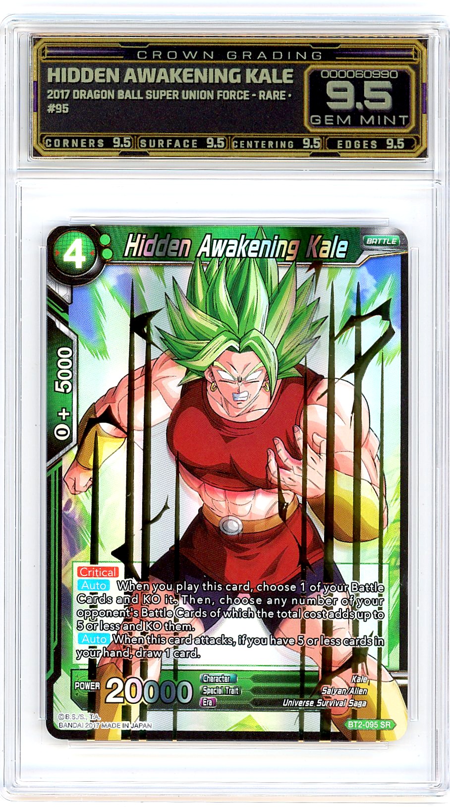 Hidden Awakening Kale