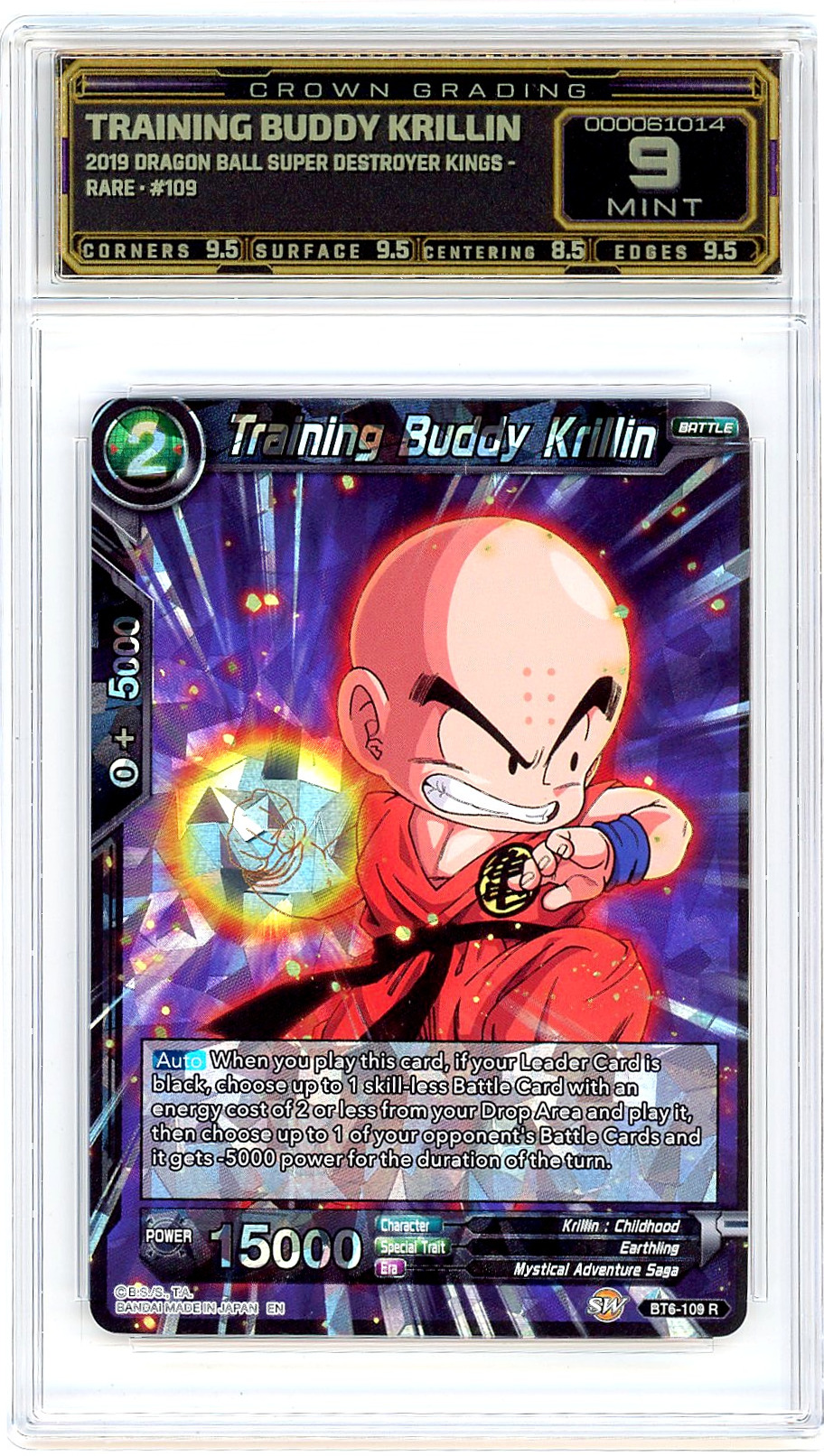 Training Buddy Krillin