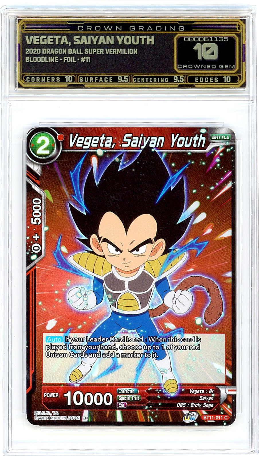 Vegeta, Saiyan Youth
