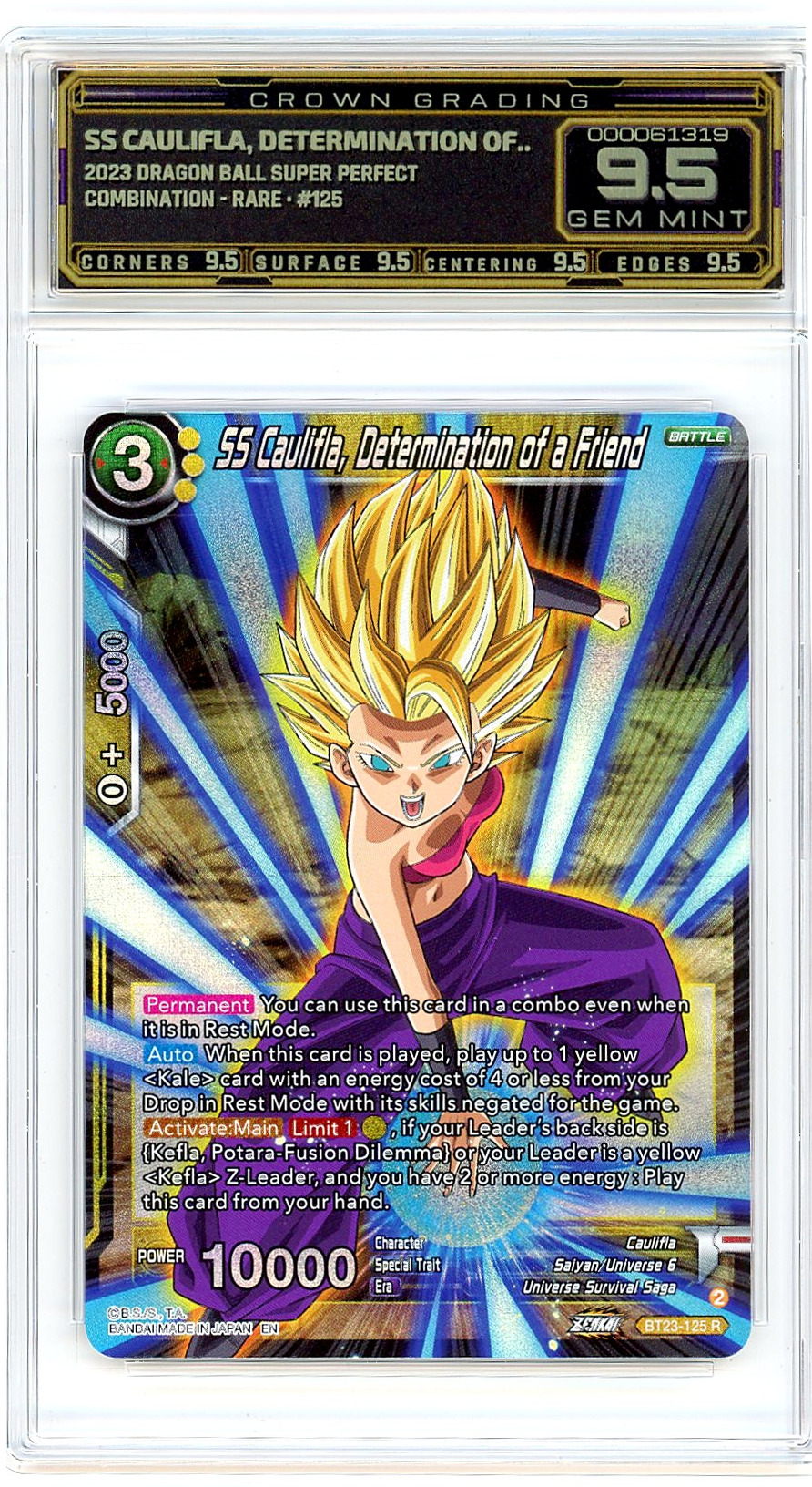 SS Caulifla, Determination of..
