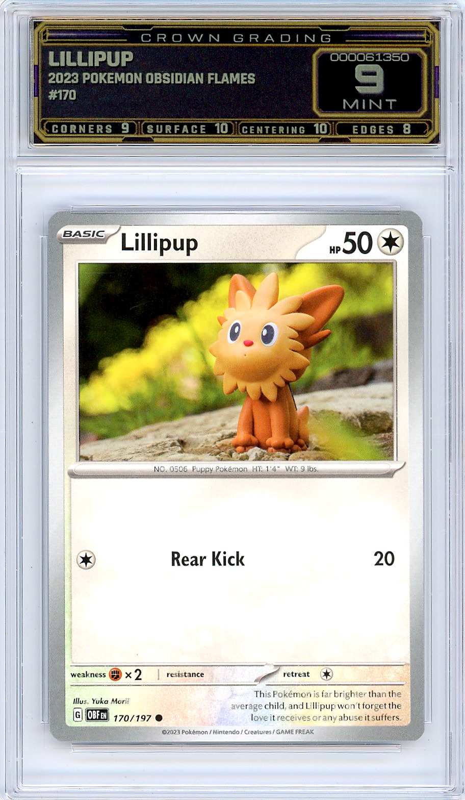 Lillipup