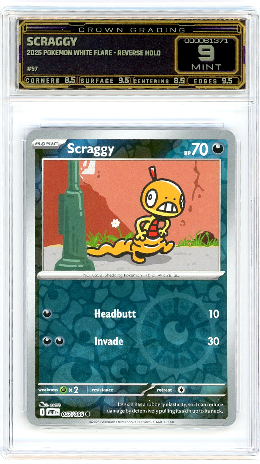 Scraggy